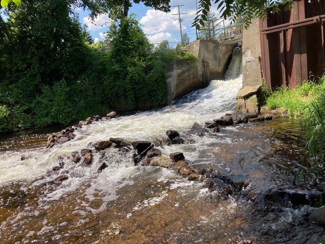 Picture of river rapids